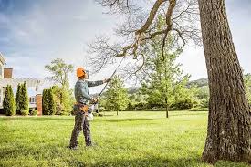 Why Choose Our Tree Removal Services in South Deerfield, MA?